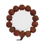 Pulsera Semilla De Rudraksha