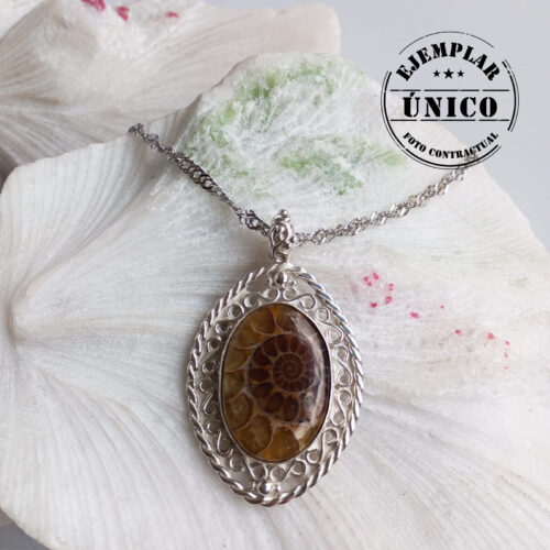 Medallón en Plata con Piedra Amonita