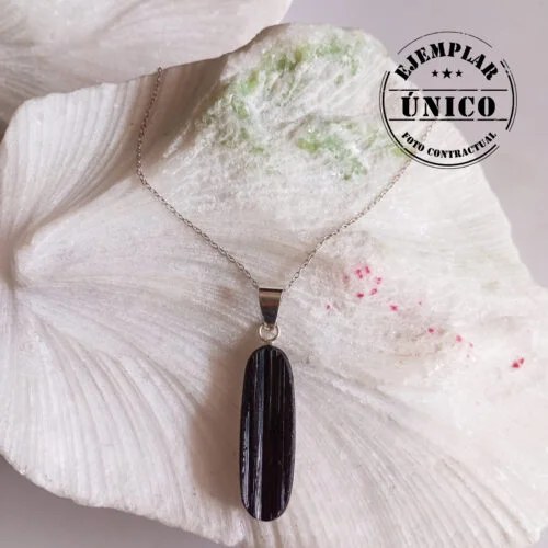 Dije en Plata con Piedra Turmalina Negra