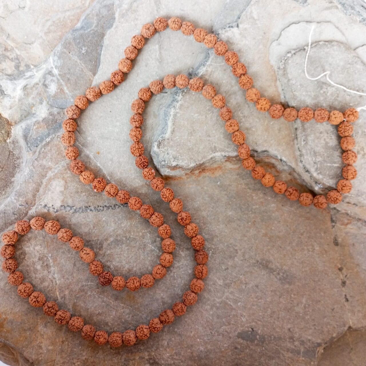 japa mala en rudraksha 8 10337