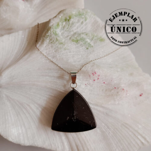 Dije en Plata con Piedra Turmalina Negra