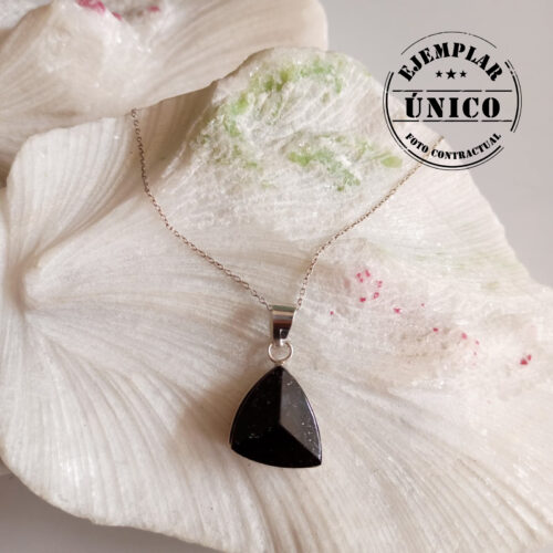 Dije en Plata con Piedra Turmalina Negra