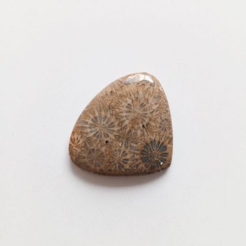 Cabujón Piedra Coral Fósil