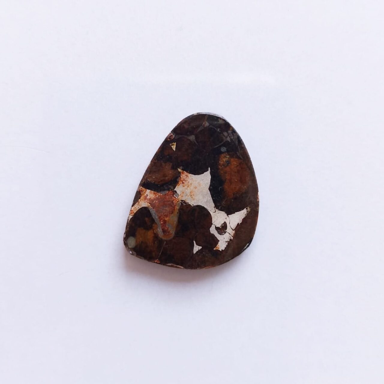 cabujon meteorito pallasita de antartida 12744