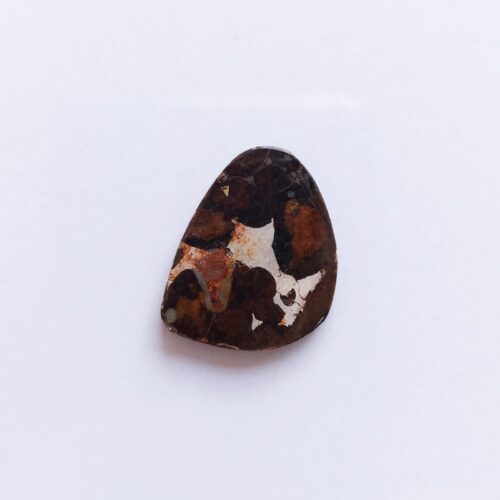 Cabujón Meteorito Pallasita de  Antártida