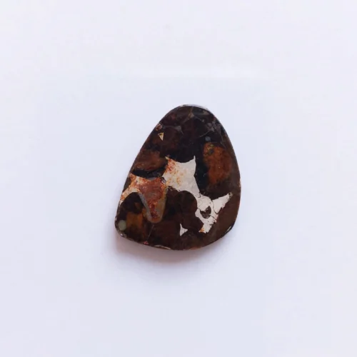 Cabujón Meteorito Pallasita de  Antártida