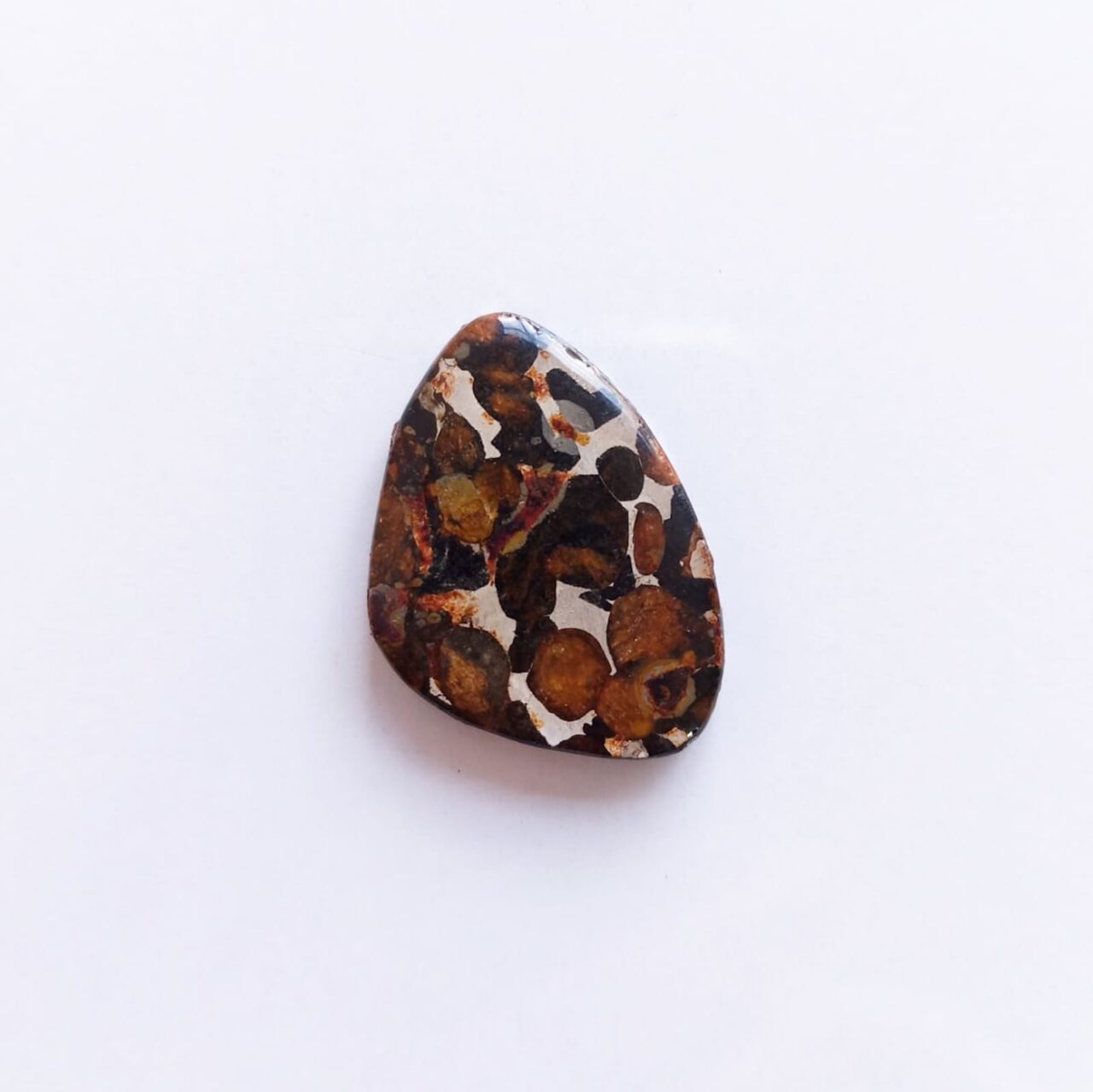 cabujon meteorito pallasita de antartida 12746
