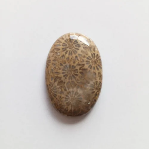 Cabujón Piedra Coral Fósil
