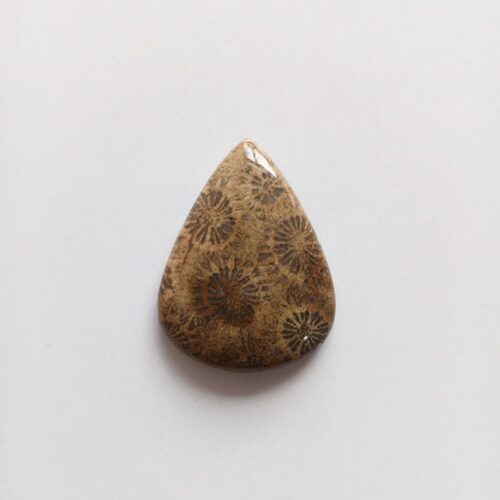 Cabujón Piedra Coral Fósil
