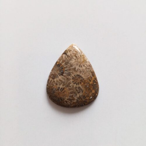 Cabujón Piedra Coral Fósil