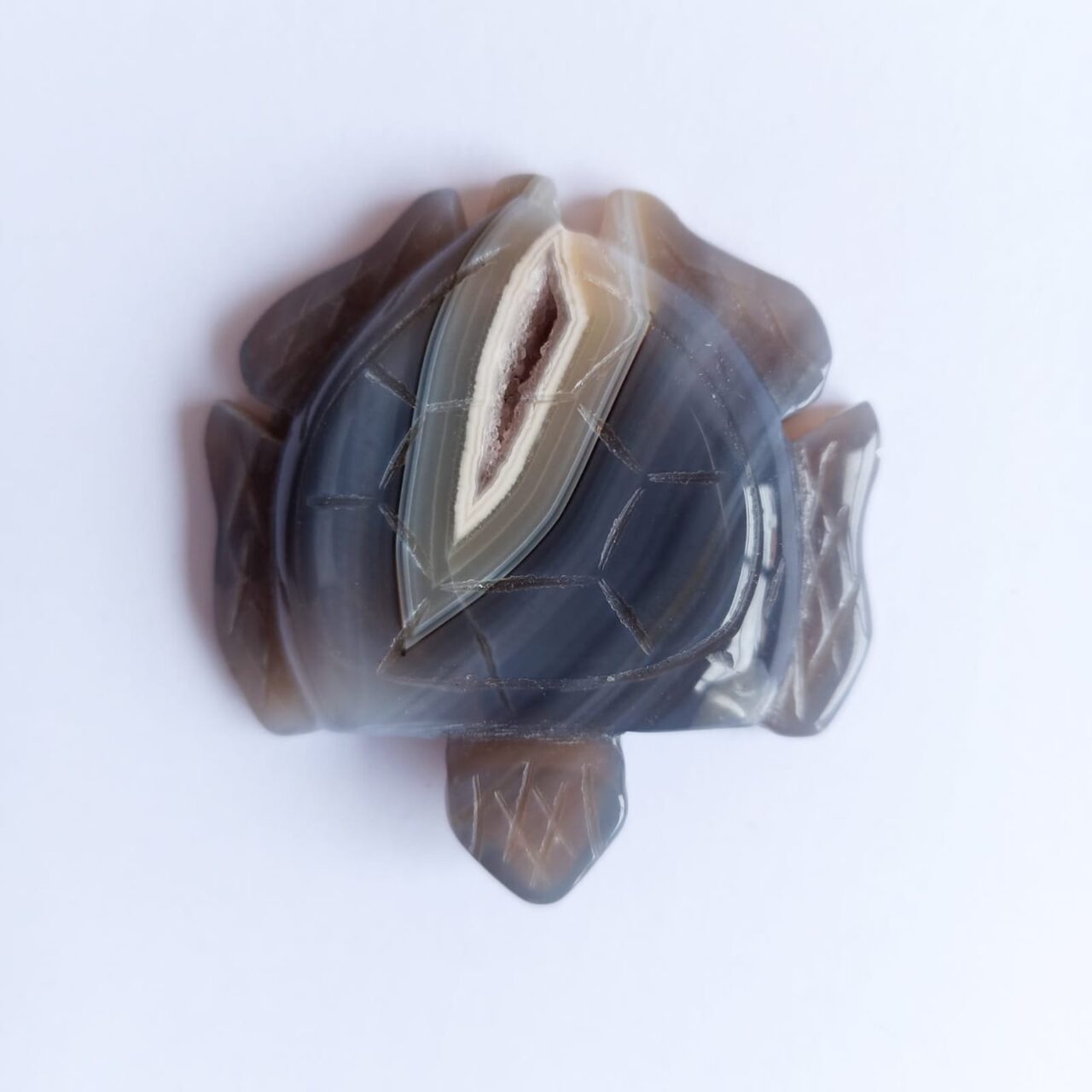 tortuga tallada en piedra agata 12629