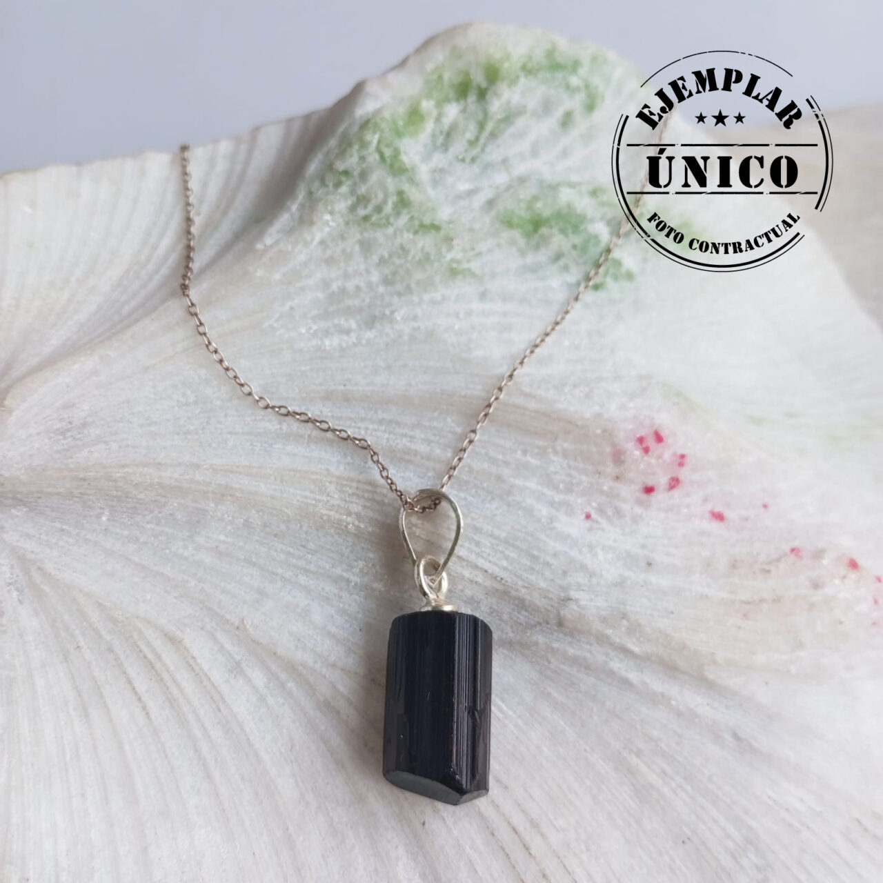 dije en plata con piedra turmalina Productos con sello 2025 147
