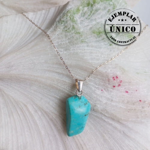 Dije en Plata con Piedra Turquesa
